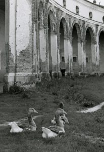 Visita la villa e il parco