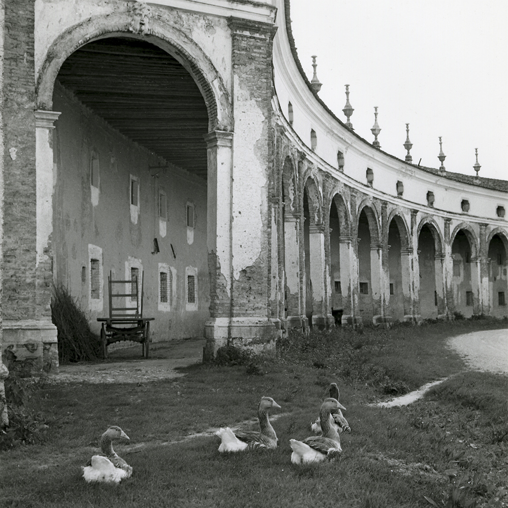 Villa Manin nell'800