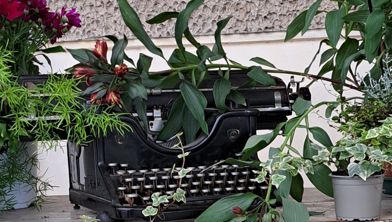 Nel giardino del doge Manin