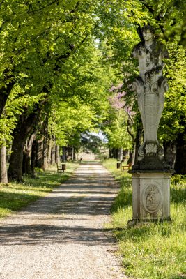 Parco di Villa Manin di Passariano di Codroipo (UD)